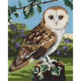 Owl Begginners Tapestry Kit